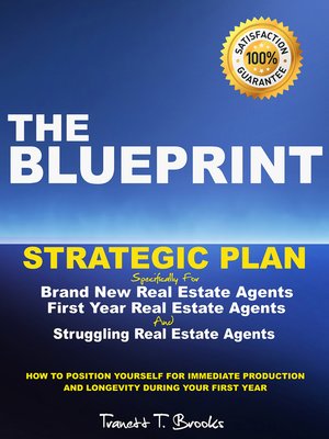 cover image of The Blueprint